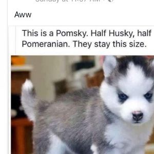 Meet your Posher, Cheryl